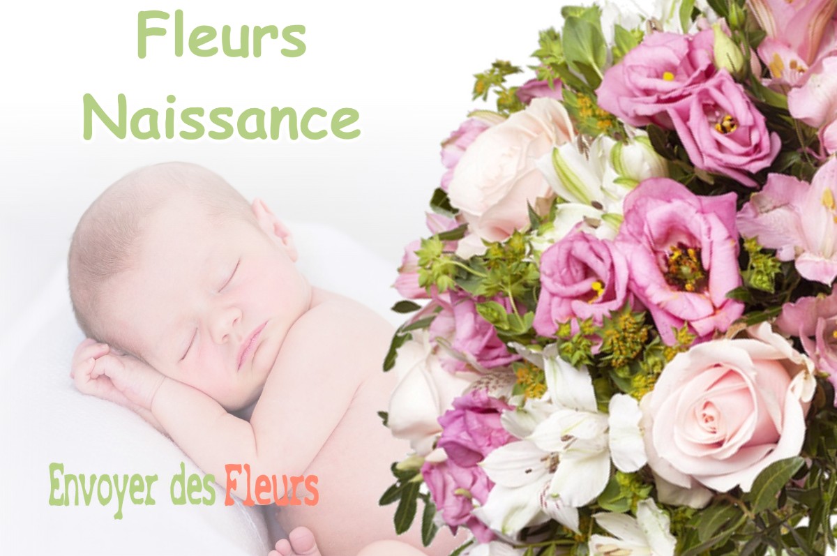 lIVRAISON FLEURS NAISSANCE à SAINT-JEAN-DE-LIER